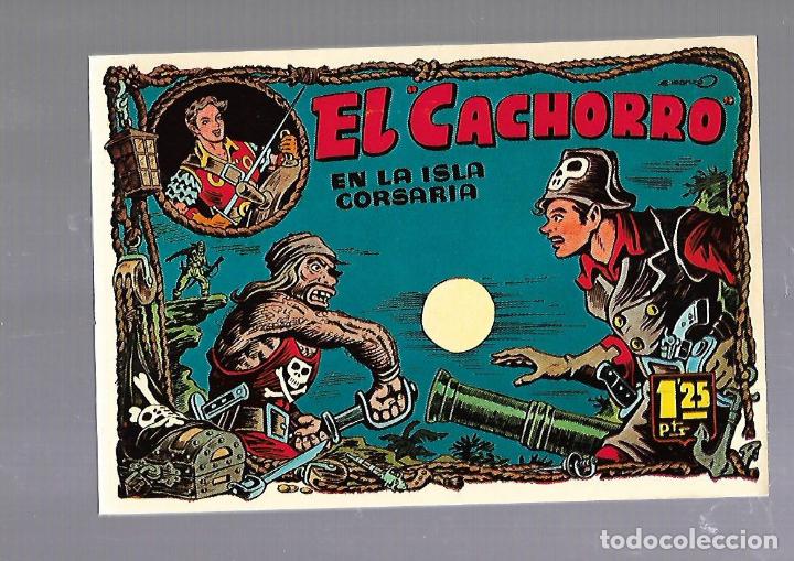 C&oacute;mics: TEBEO. EL CACHORRO EN LA ISLA CORSARIA. TOMO 13. IBERCOMIC. 1985 - Foto 1