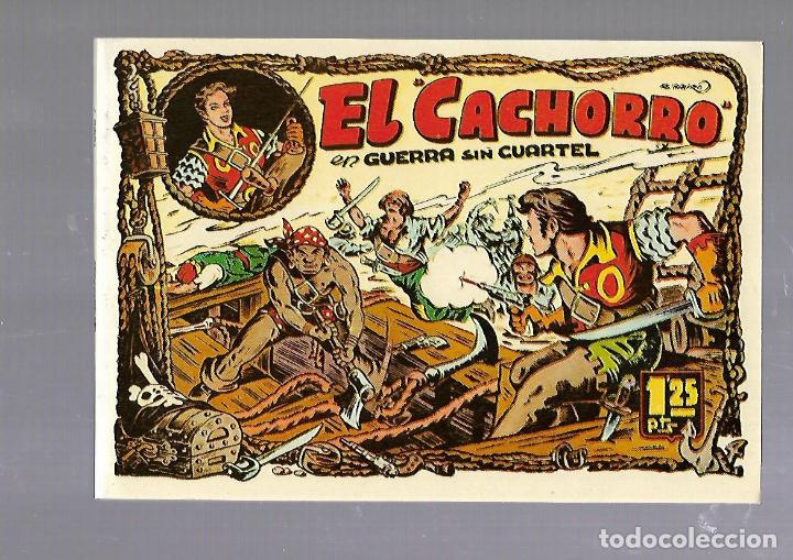 C&oacute;mics: TEBEO. EL CACHORRO EN GUERRA SIN CUARTEL. TOMO 7. IBERCOMIC. 1985 - Foto 1