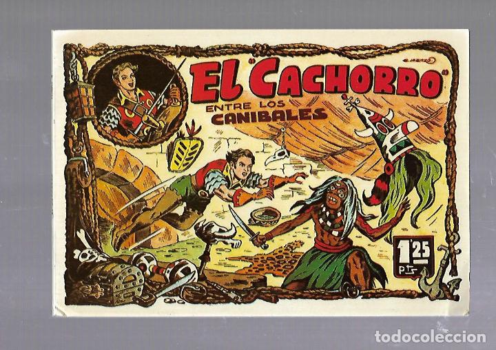C&oacute;mics: TEBEO. EL CACHORRO ENTRE LOS CANIBALES. TOMO 4. IBERCOMIC. 1985 - Foto 1