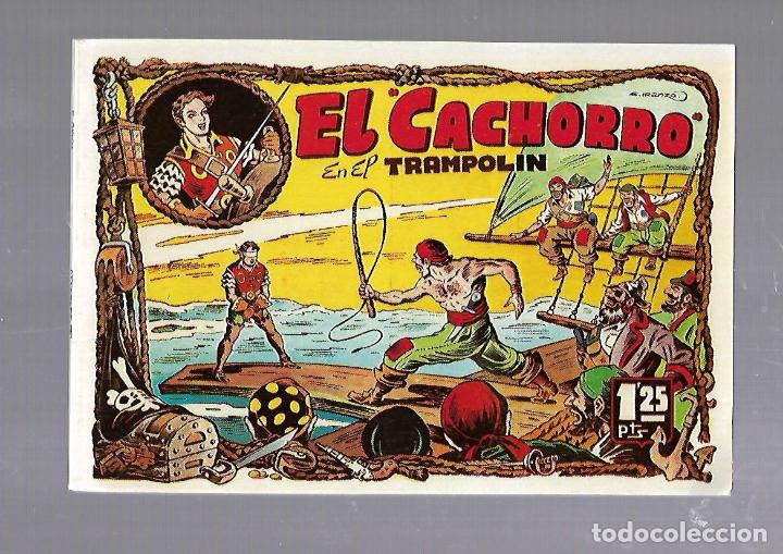 C&oacute;mics: TEBEO. EL CACHORRO EN EL TRAMPOLIN. TOMO 3. IBERCOMIC. 1985 - Foto 1