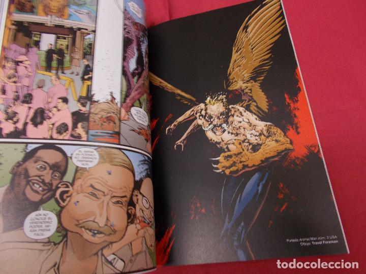 C&oacute;mics: ANIMAL MAN. N&ordm; 1. ECC. - Foto 3