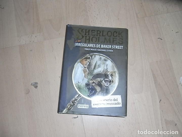 C&oacute;mics: Sherlock Holmes y los irregulares de Baker Street, Everest - Foto 1