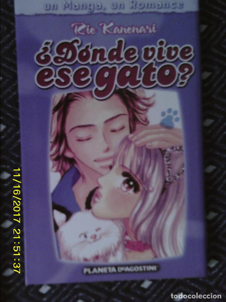 C&oacute;mics: LIBRO N&ordm; 1285 &iquest;DONDE VIVE ESE GATO? DE RIE KANERARI