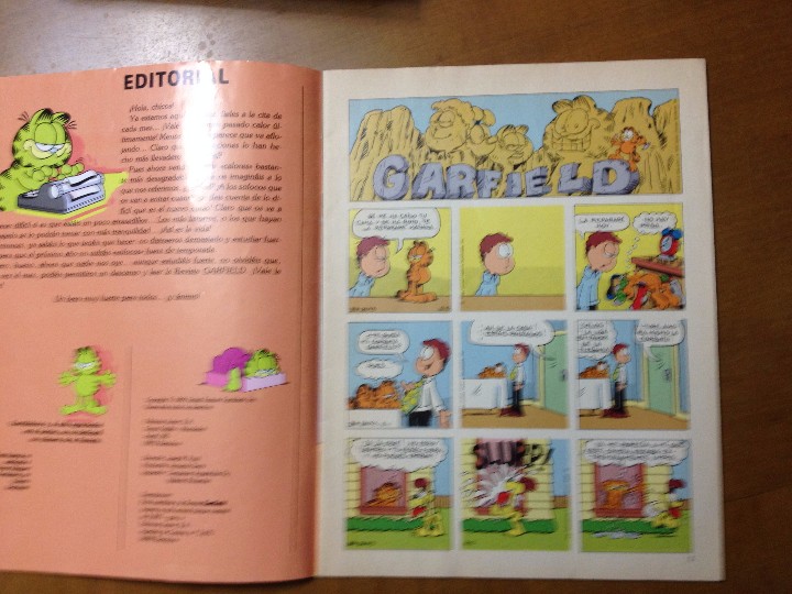 C&oacute;mics: EL PATO DONALD - GARFIELD - Foto 5