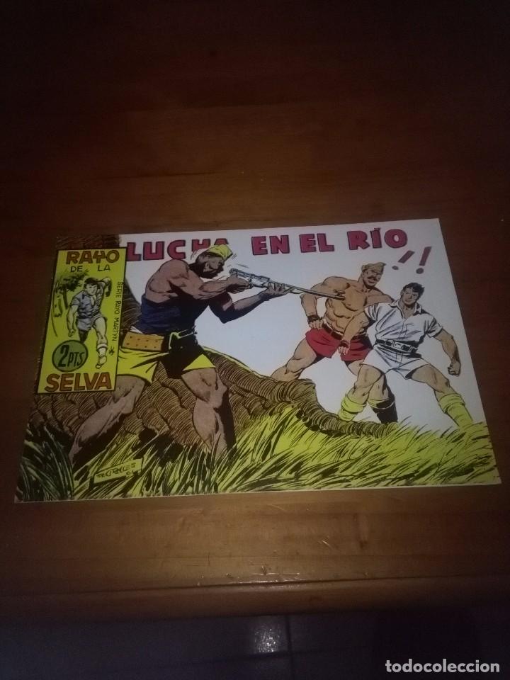 C&oacute;mics: RAYO DE LA SELVA LUCHA EN EL RIO. N&ordm; 63. EST24B2 - Foto 1