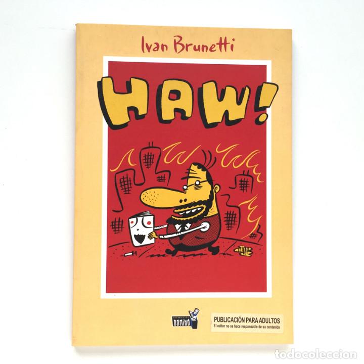 C&oacute;mics: HAW! - Ivan Brunetti (Colecci&oacute;n Domino 6 - Dolmen Editorial) - Foto 1