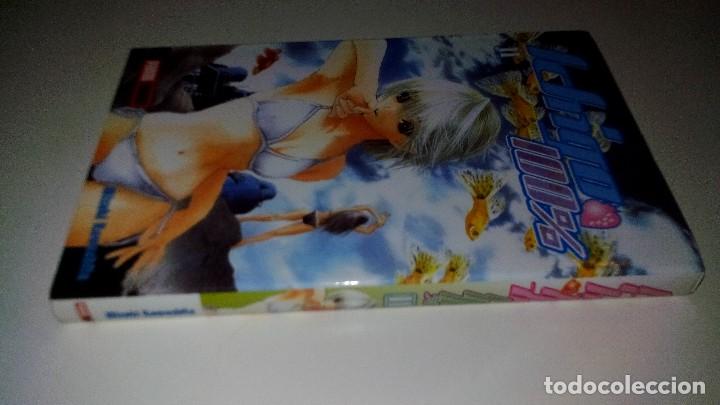 C&oacute;mics: ICHIGO 100%-MIZUKI KAWASHITA - PANINI MANGA-N&ordm; 11