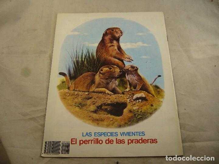 C&oacute;mics: PETETE NUMERO 168 - Foto 2