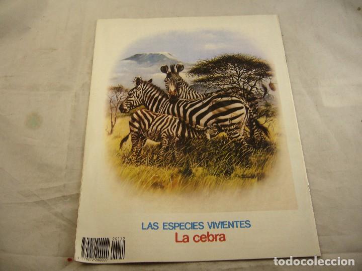 C&oacute;mics: PETETE NUMERO 150 - Foto 2