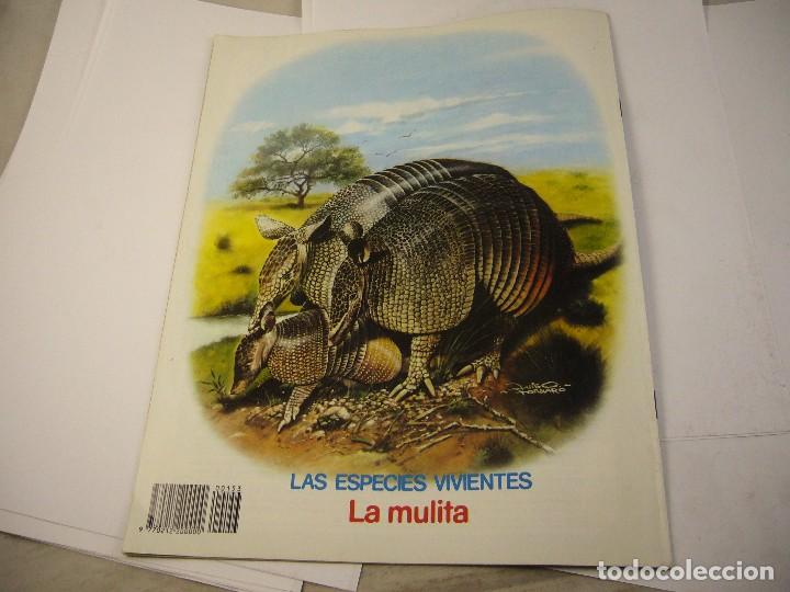C&oacute;mics: PETETE NUMERO 153 - Foto 2