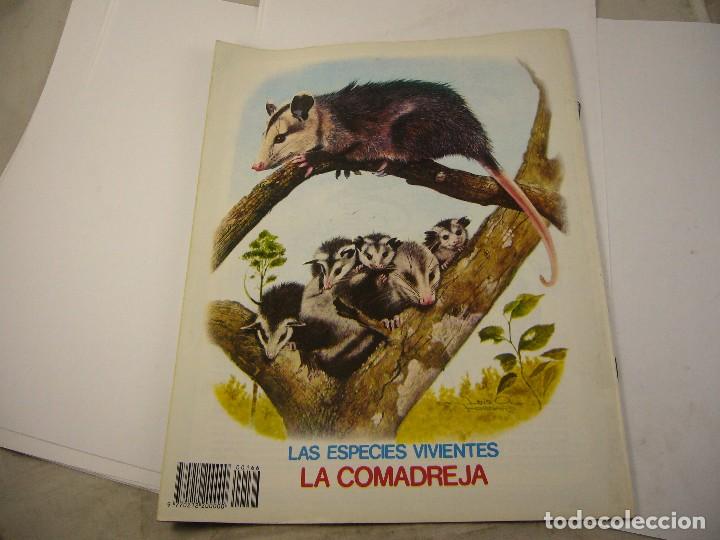 C&oacute;mics: PETETE NUMERO 166 - Foto 2