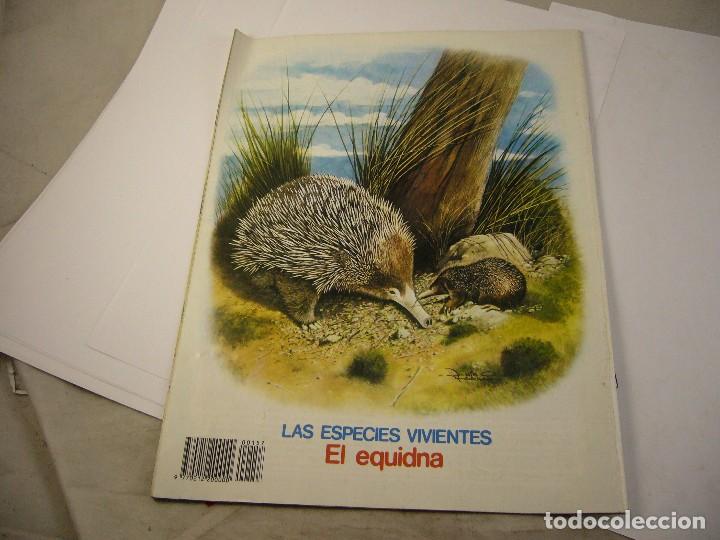 C&oacute;mics: PETETE NUMERO 157 - Foto 2