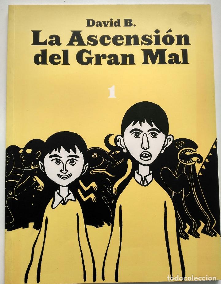 C&oacute;mics: LA ASCENSI&Oacute;N DEL GRAN MAL. DAVID B. ah - Foto 1