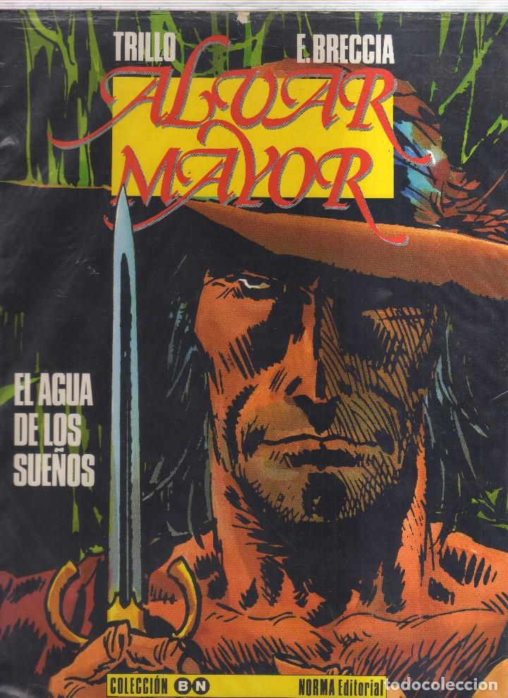 C&oacute;mics: ALVAR MAYOR EL AGUA DE LOS SUE&Ntilde;OS - Foto 1