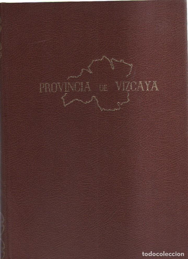 C&oacute;mics: PROVINCIA DE VIZCAYA DOS TOMOS