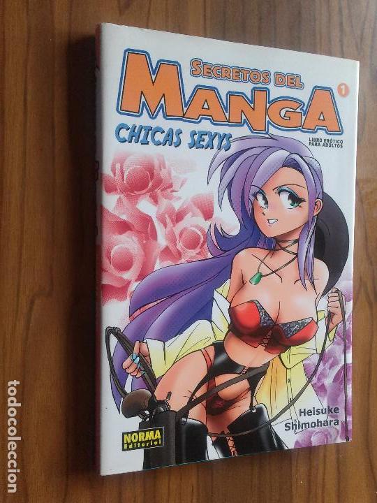 Comics: SECRETOS DEL MANGA 1. CHICAS SEXYS. LIBRO ER&Oacute;TICO PARA ADULTOS. NORMA. BUEN ESTADO