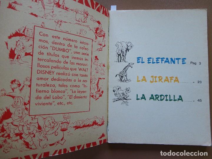 C&oacute;mics: DUMBO- ERSA-N&Uacute;MERO-40 - Foto 2