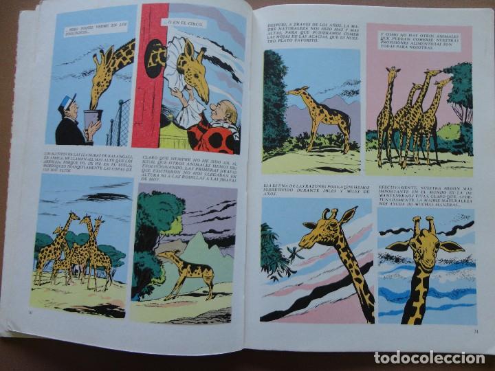 C&oacute;mics: DUMBO- ERSA-N&Uacute;MERO-40 - Foto 3