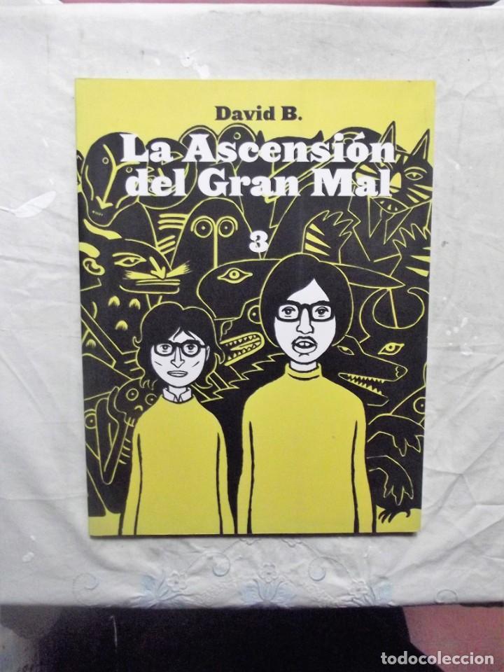 C&oacute;mics: LA ASCENSION DEL GRAN MAL 3 DAVID B. - Foto 1