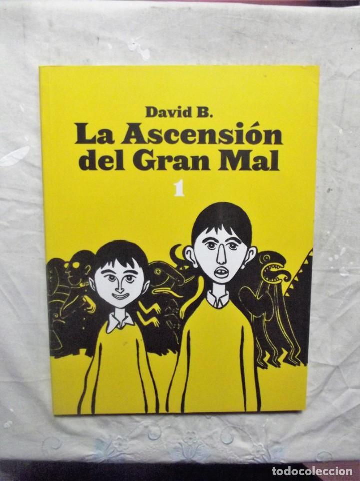 C&oacute;mics: LA ASCENSION DEL GRAN MAL 1 DAVID B. - Foto 1