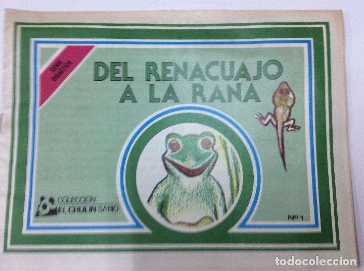 Fumetti: Del renacuajo a la rana