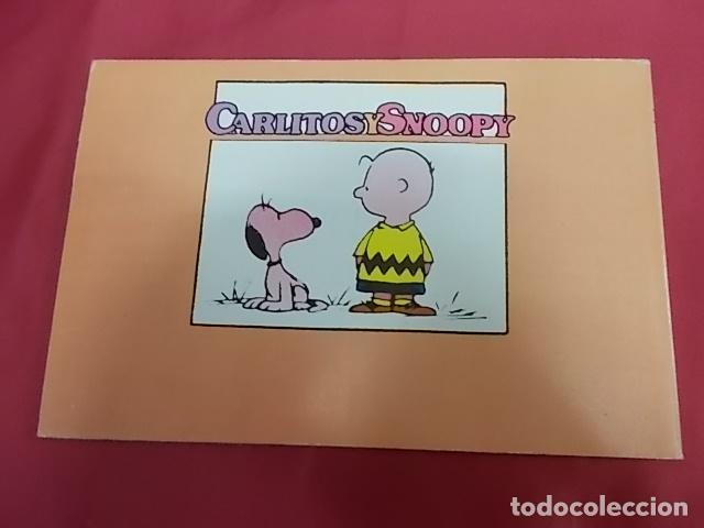 C&oacute;mics: CARLITOS Y SNOOPY. N&ordm; 11. ERES MI H&Eacute;ROE, CARLITOS. CHARLES SCHULZ. EDITORIAL LUMEN - Foto 2