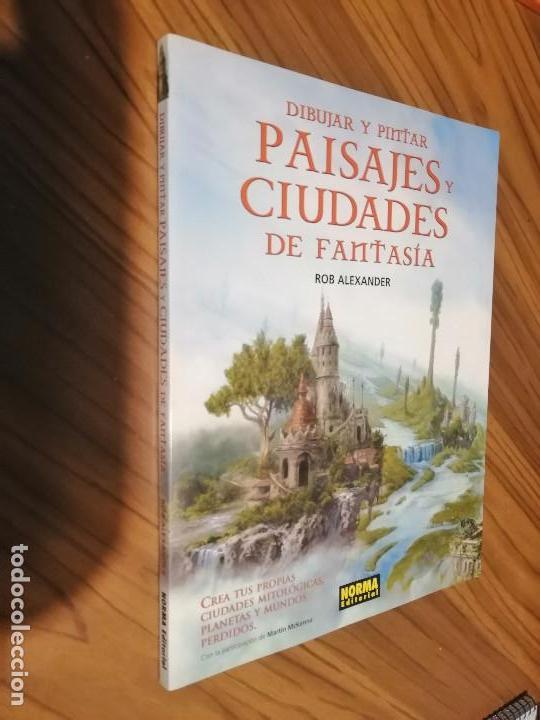 Fumetti: DIBUJAR Y PINTAR PAISAJES Y CIUDADES DE FANTASIA. ROB ALEXANDER. NORMA EDITORIAL. BUEN ESTADO. E9 2