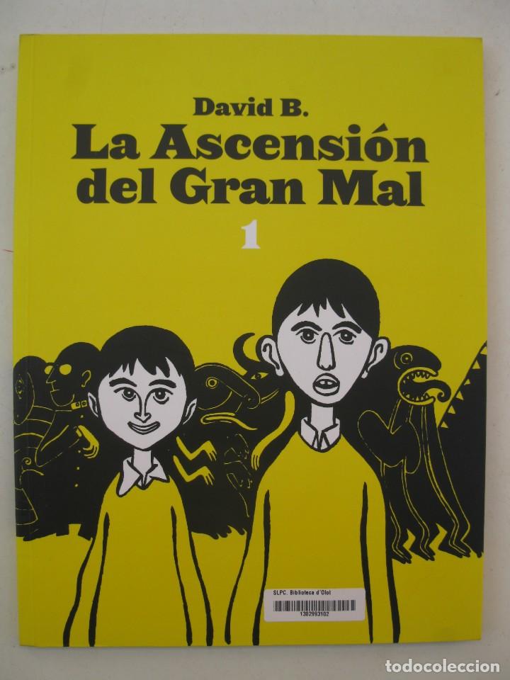 C&oacute;mics: LA ASCENSI&Oacute;N DEL GRAN MAL 1 - DAVID B. - EDICIONES SINSENTIDO - A&Ntilde;O 2007. - Foto 1