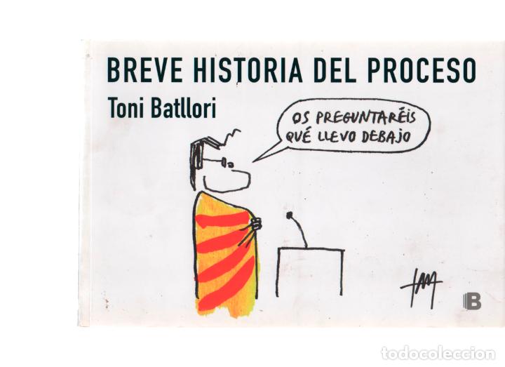 C&oacute;mics: BREVE HISTORIA DEL PROCESO. TONI BATLLORI . EDICIONES B - Foto 1