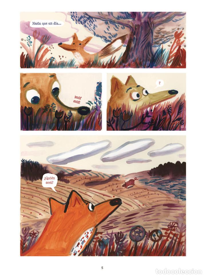 C&oacute;mics: C&oacute;mics. ZORRITO Y JABAL&Iacute; 1. All&iacute; - Berenika - Foto 3