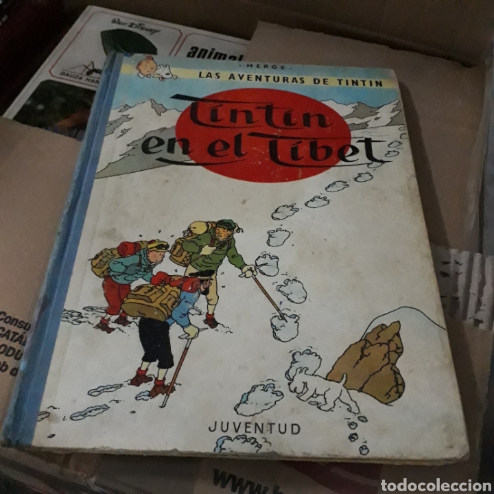 C&oacute;mics: Tintin en el Tibet, Juventud, 1965 - Foto 1