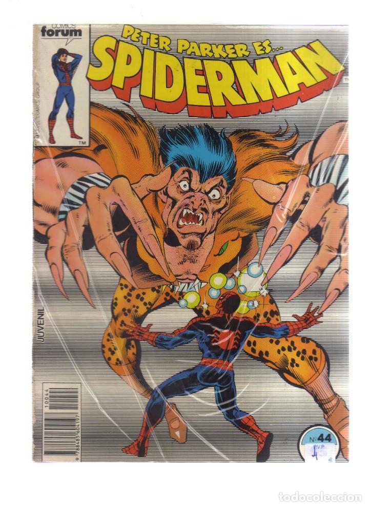 C&oacute;mics: SPIDERMAN  PETER PARKER ES ....N,44 - Foto 1