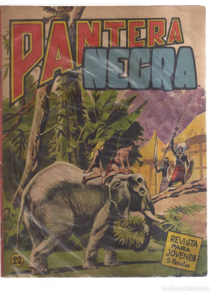 C&oacute;mics: PANTERA NEGRA N,22 - Foto 1