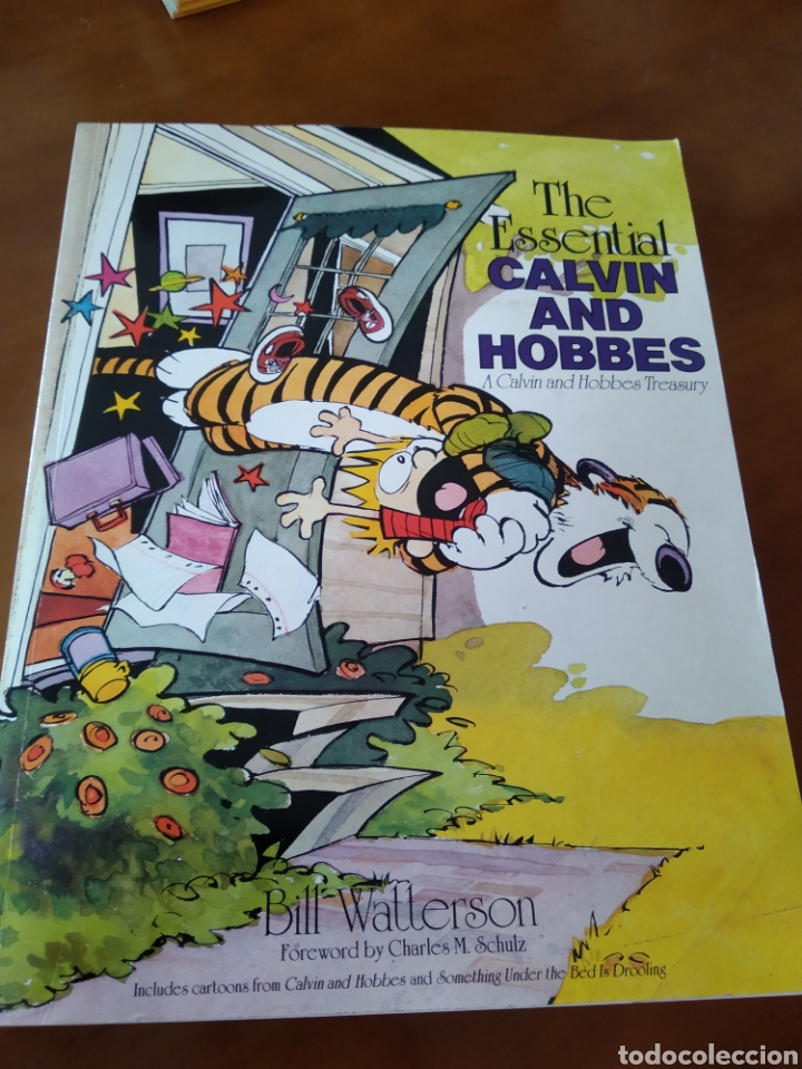 C&oacute;mics: THE ESSENTIAL CALVIN AND HOBBES. BILL WATTERSON #K2 - Foto 1