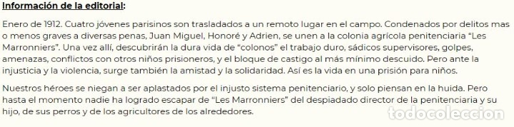 C&oacute;mics: INOCENTES CULPABLES - Harriet ed. a&ntilde;o 2017 - como NUEVO - Foto 2