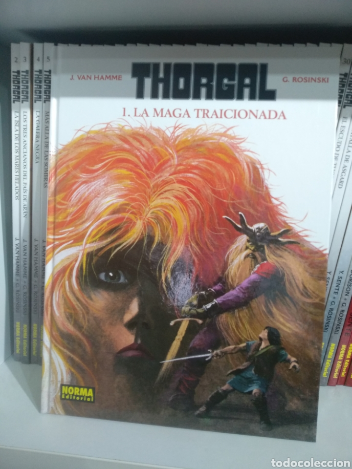 C&oacute;mics: THORGAL COMPLETA 1 AL 35 EDICI&Oacute;N EN TAPA DURA NORMA editorial - Foto 1