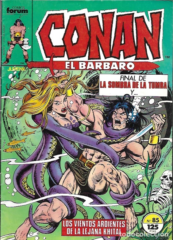 C&oacute;mics: Conan El B&aacute;rbaro. Forum 1983. N&ordm; 85 - Foto 1