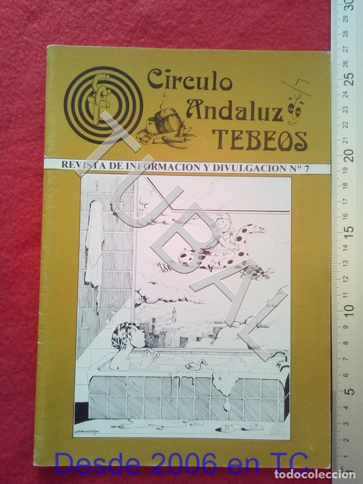 C&oacute;mics: CIRCULO ANDALUZ DE TEBEOS REVISTA U2