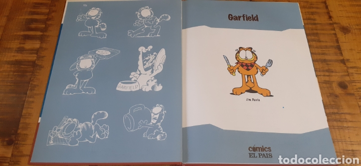 C&oacute;mics: 2 C&Oacute;MICS - GARFIELD N*35 - HELLBOY N*33 - EL PAIS - Foto 5