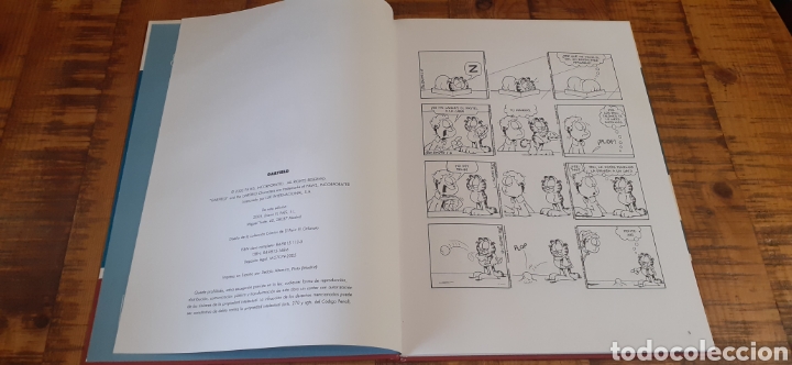 C&oacute;mics: 2 C&Oacute;MICS - GARFIELD N*35 - HELLBOY N*33 - EL PAIS - Foto 6