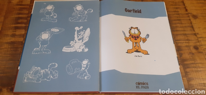 C&oacute;mics: 2 C&Oacute;MICS - GARFIELD N*35 - HELLBOY N*33 - EL PAIS - Foto 10