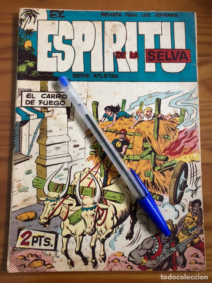 C&oacute;mics: EL ESP&Iacute;RITU DE LA SELVA. El carro de fuego. - Foto 1