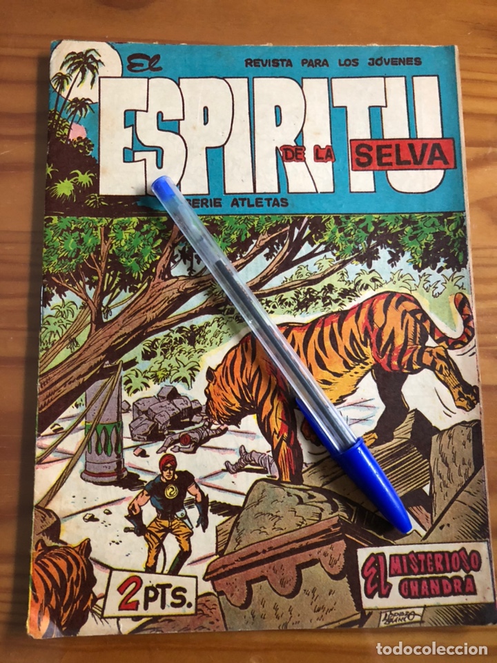 C&oacute;mics: EL ESP&Iacute;RITU DE LA SELVA. El misterioso chandra - Foto 1