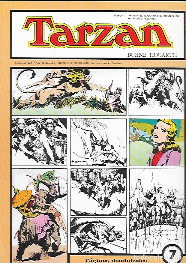 C&oacute;mics: TARZAN GRANDES CLASICOS DE LOS COMICS DEL PASADO - Foto 1