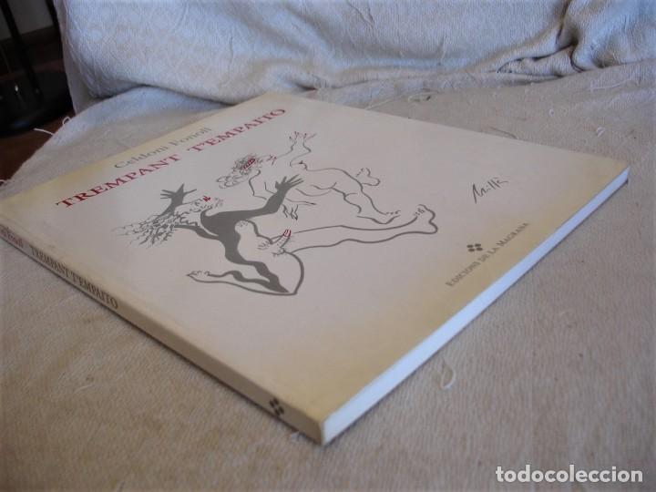 C&oacute;mics: Celdoni Fonoll. Trempant tempaito - Foto 9
