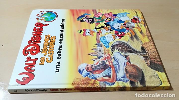 Comics : UNA COBRA ENCANTADORA - LOS JOVENES CASTORES - WALT DISNEY	 / 	E603