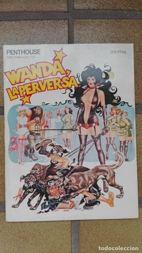 C&oacute;mics: Wanda la perversa - Foto 1