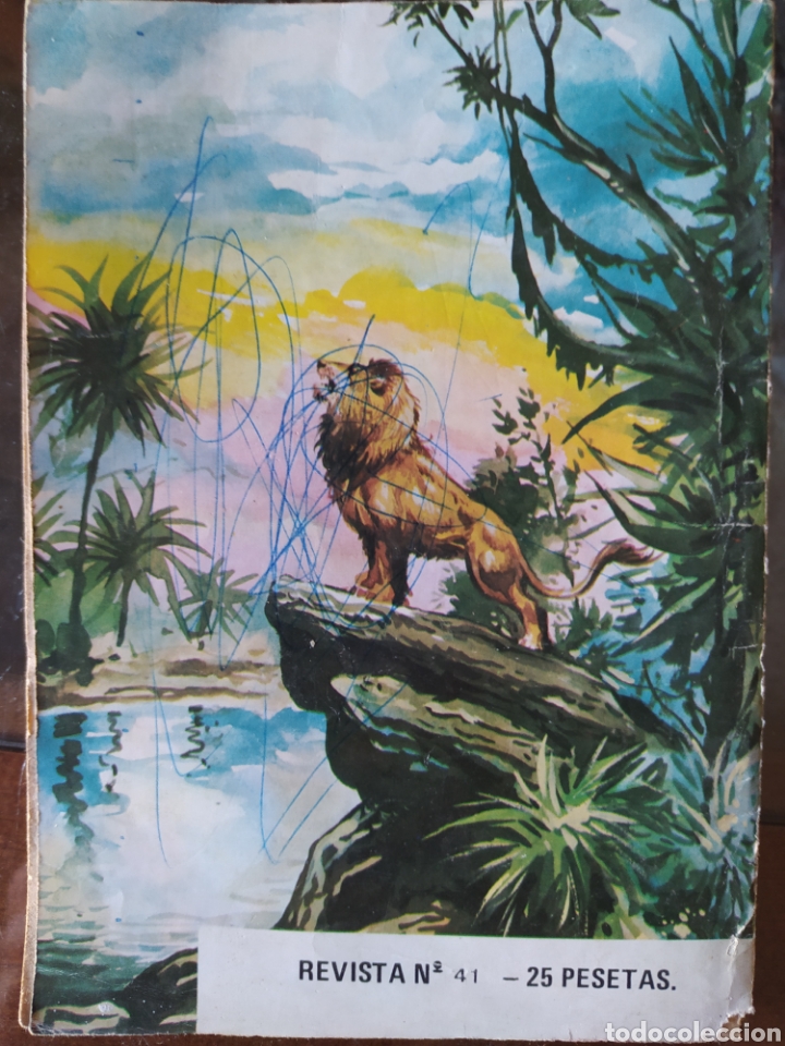 C&oacute;mics: Kalar rey de la selva. - Foto 3
