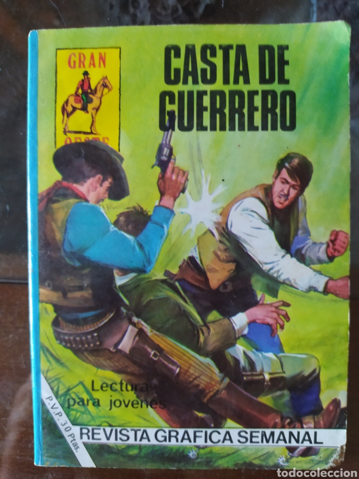 C&oacute;mics: Casta de Guerrero. - Foto 1