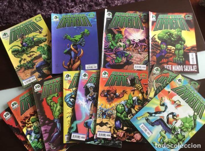C&oacute;mics: Comics sauvage dragon coleccion del 1 al 12 - Foto 1